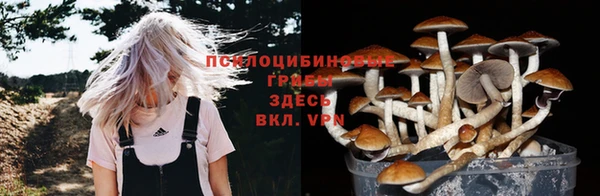 круглые Арсеньев